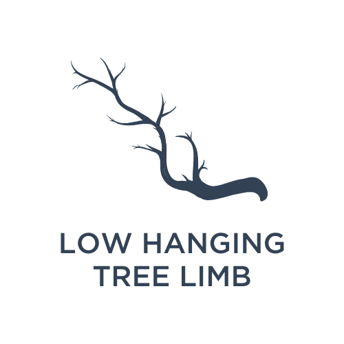low hanging limb